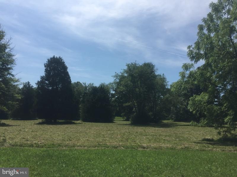 17018 Gaines Road Broad Run, VA 20137 - Photo 1 of 11 Gaines Road- Lovely Level cleared lot 5 Acres