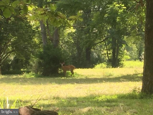 17018 Gaines Road Broad Run, VA 20137 - Photo 2 of 11 Gallery Image 2