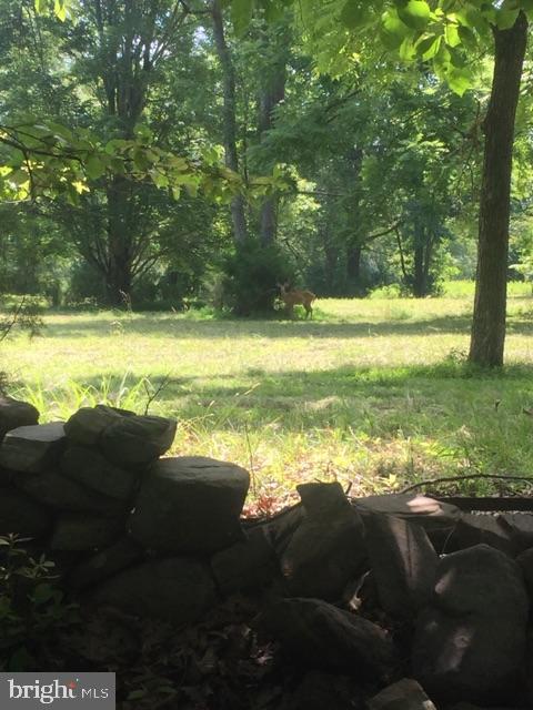 17018 Gaines Road Broad Run, VA 20137 - Photo 5 of 11 Gallery Image 5