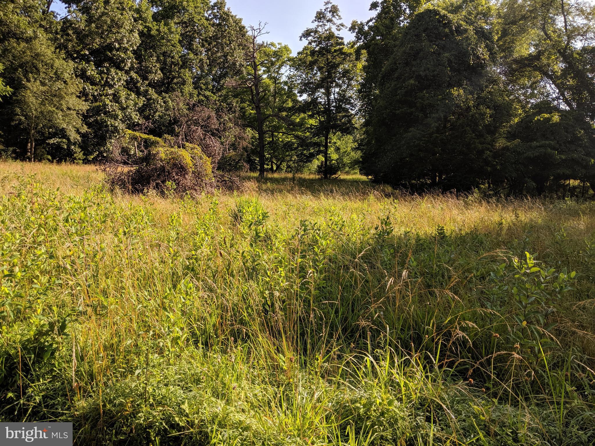17018 Gaines Road Broad Run, VA 20137 - Photo 7 of 11 5 Acres-Level Lot -Gaines Rd