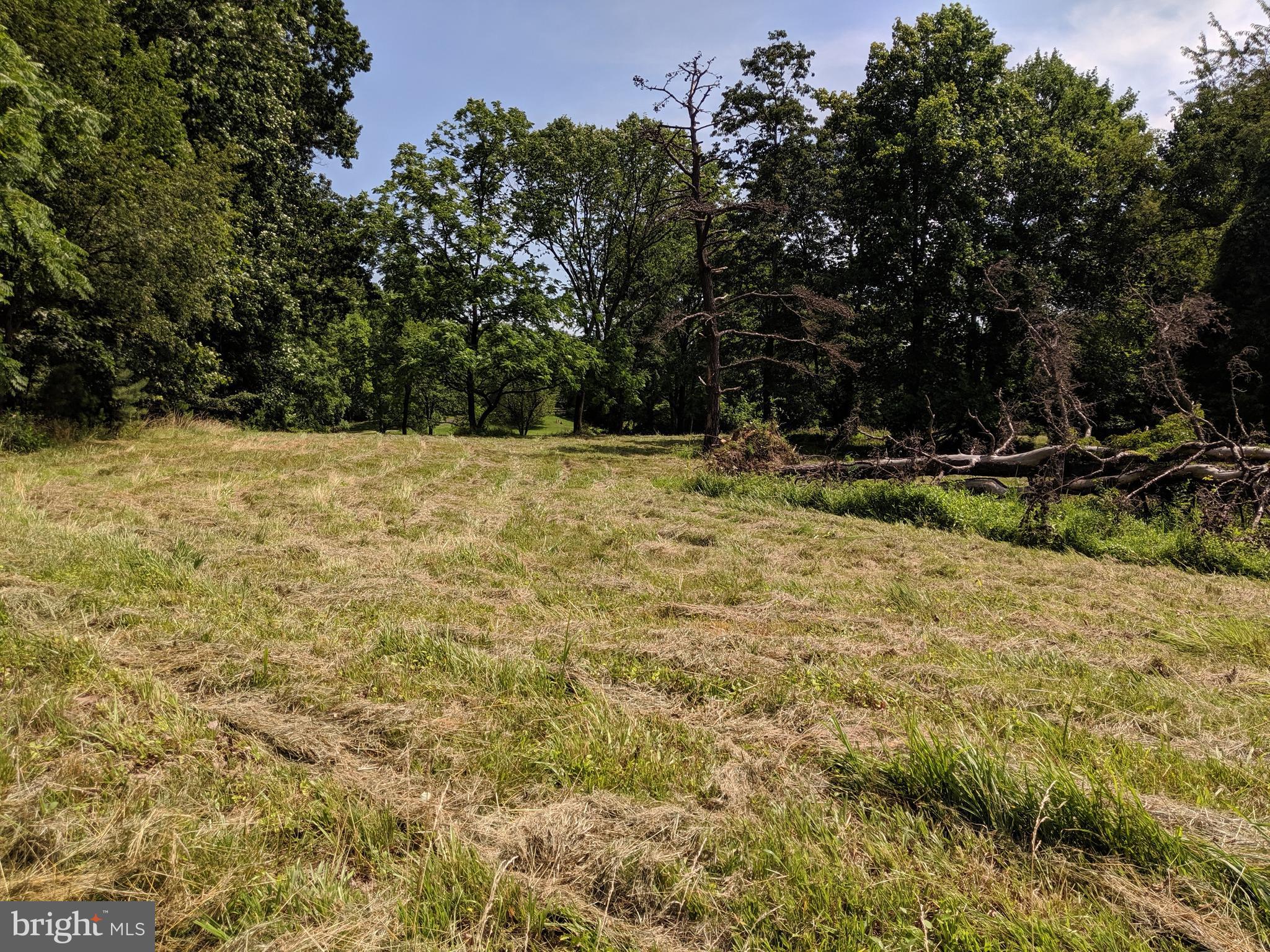 17018 Gaines Road Broad Run, VA 20137 - Photo 10 of 11 Gallery Image 10