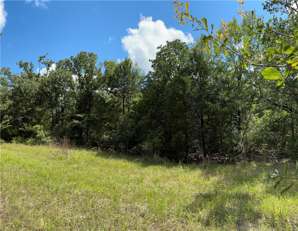 Tbd Pin Oak Road Franklin, TX 77856 - Photo 7 of 11 7.5 Ac Meadow Pic