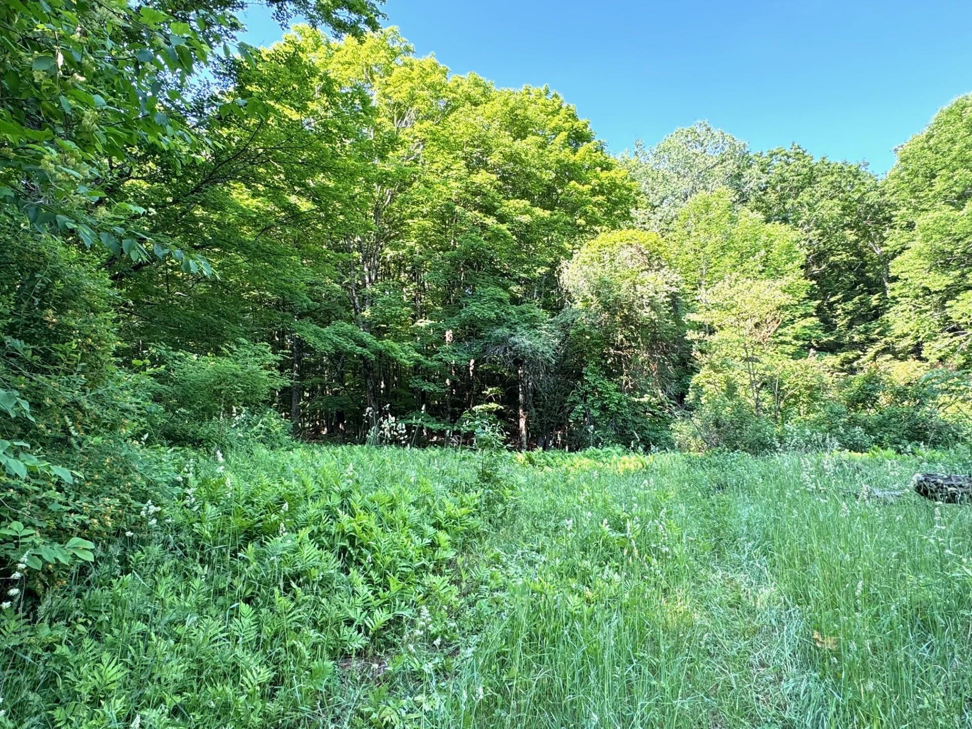 155 Randall Hill Road Springfield, VT 05156 - Photo 2 of 5