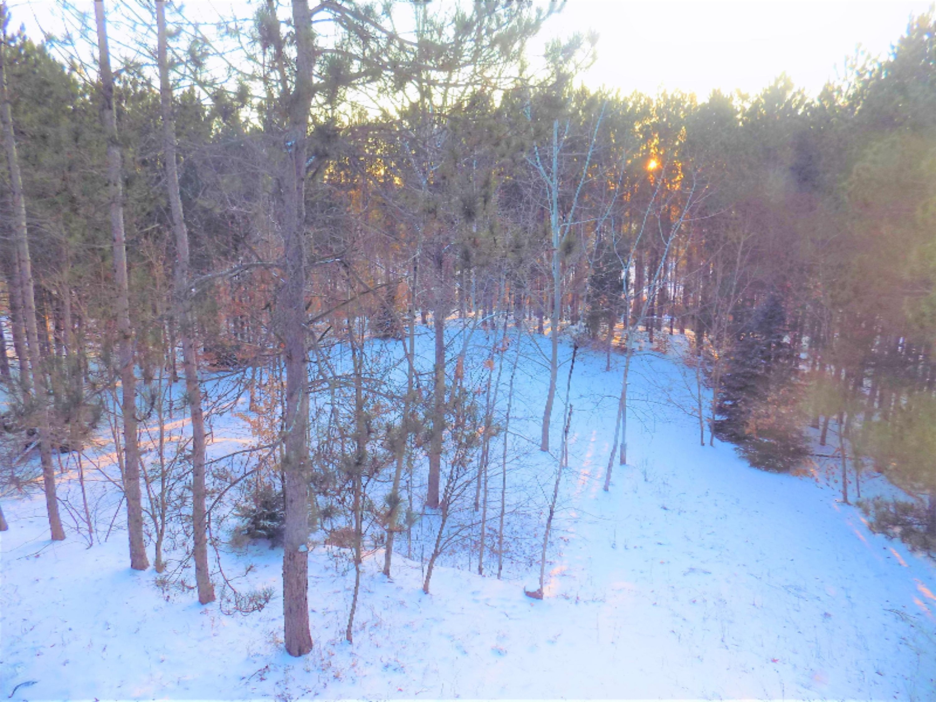 6375 Spruce Ridge Road Bear Lake, MI 49614 - Photo 13 of 40 DSCN2566
