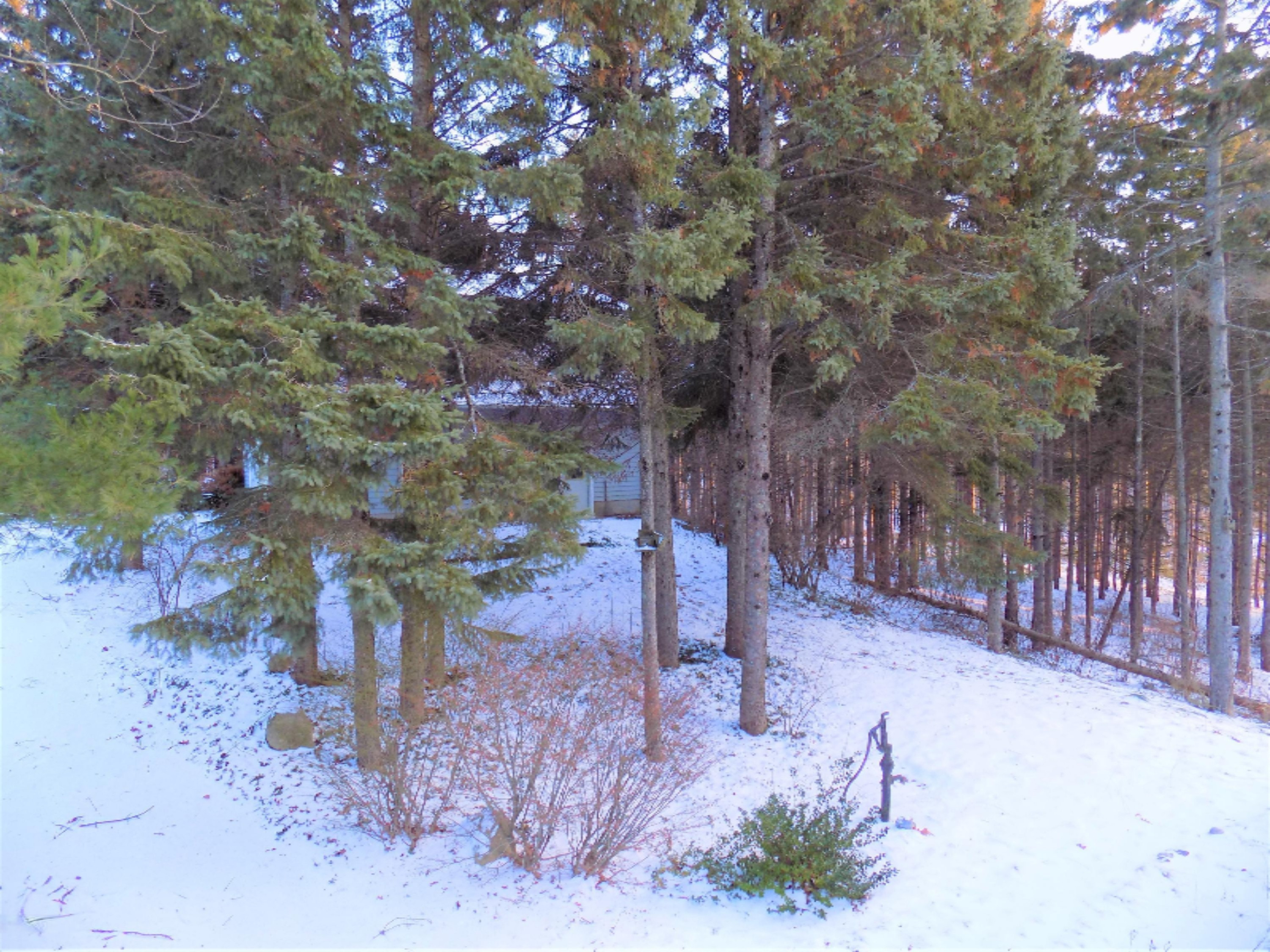 6375 Spruce Ridge Road Bear Lake, MI 49614 - Photo 31 of 40 DSCN2559