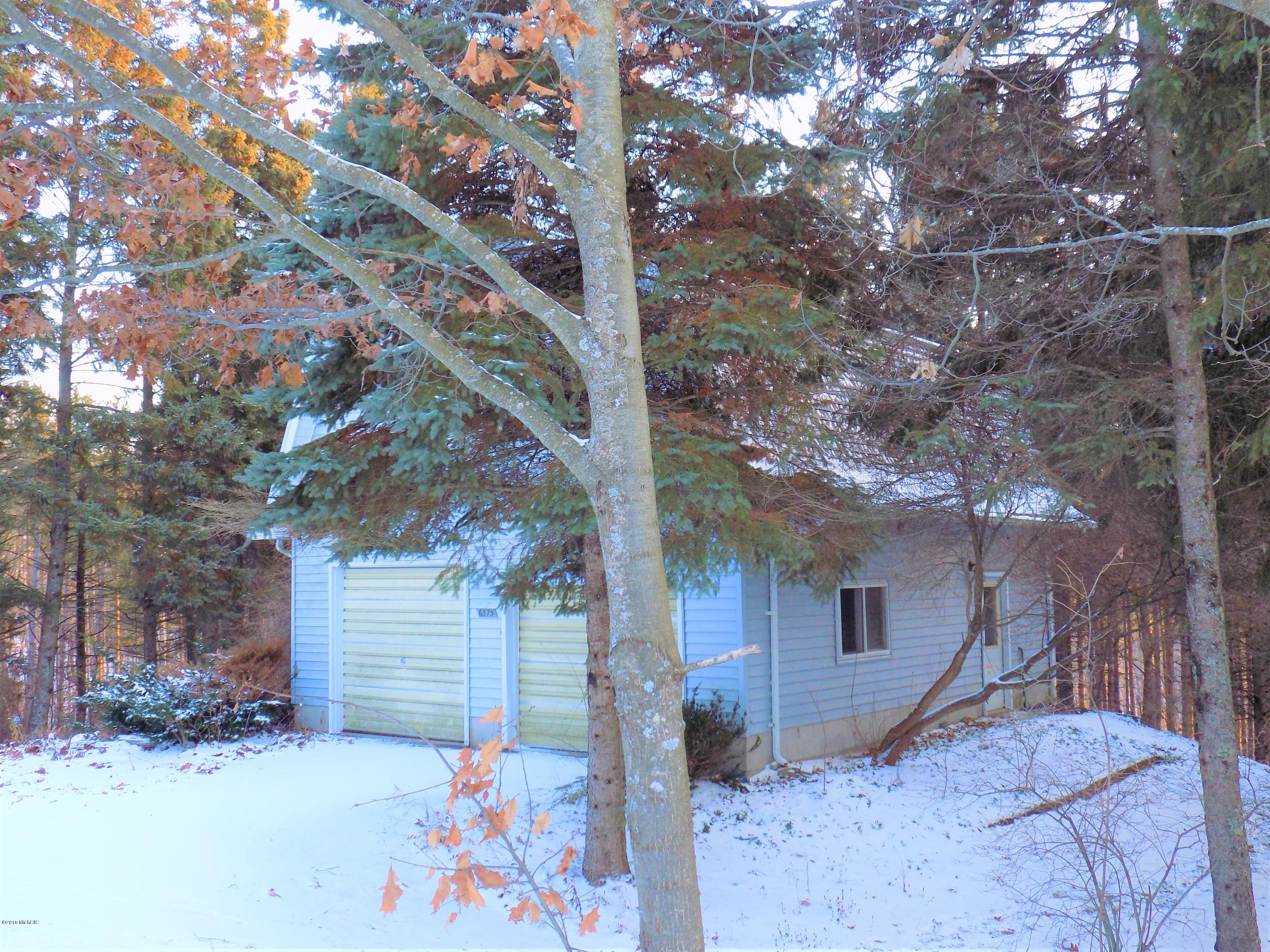 6375 Spruce Ridge Road Bear Lake, MI 49614 - Photo 36 of 40 DSCN2555
