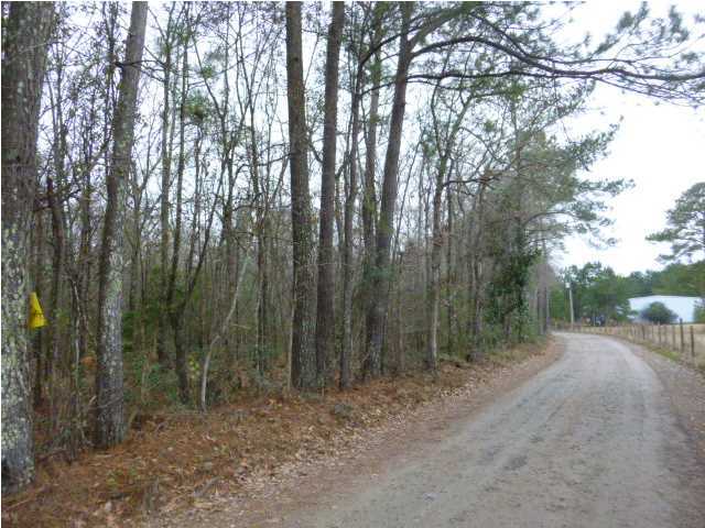 0 Roumillats Lane Moncks Corner, SC 29461 - Photo 2 of 3 Additional Photo
