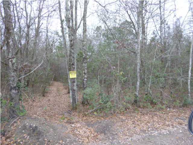 0 Roumillats Lane Moncks Corner, SC 29461 - Photo 3 of 3 Additional Photo