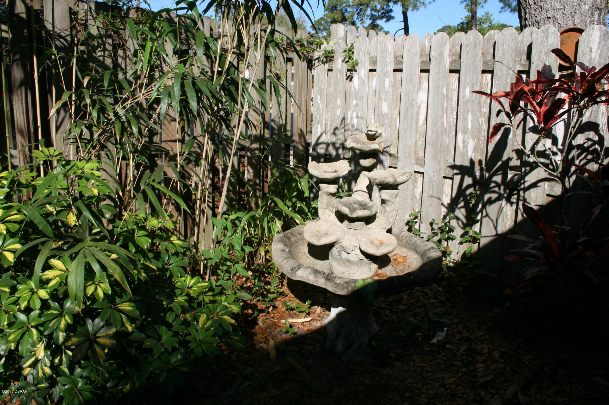 1936 South Riverside Drive Edgewater, FL 32141 - Photo 16 of 20 IMG_8735