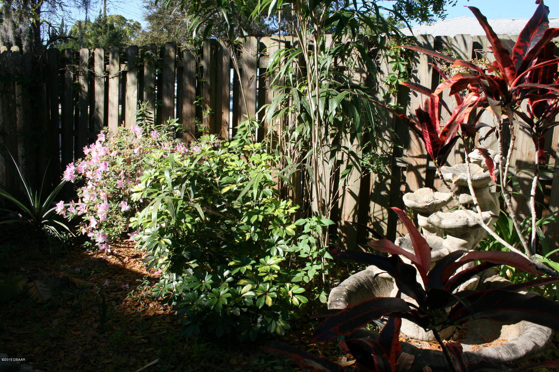 1936 South Riverside Drive Edgewater, FL 32141 - Photo 17 of 20 IMG_8736