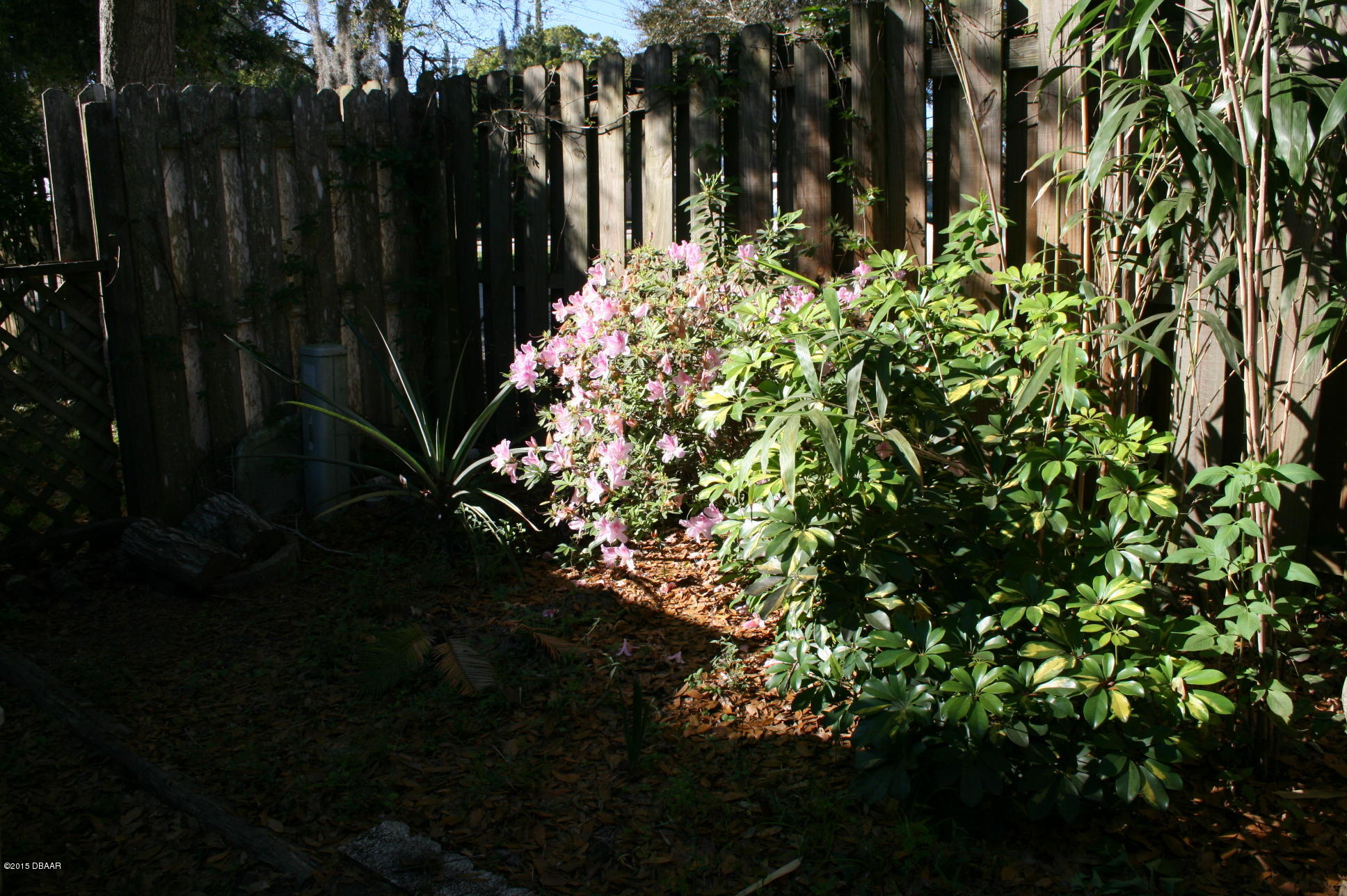 1936 South Riverside Drive Edgewater, FL 32141 - Photo 18 of 20 IMG_8737