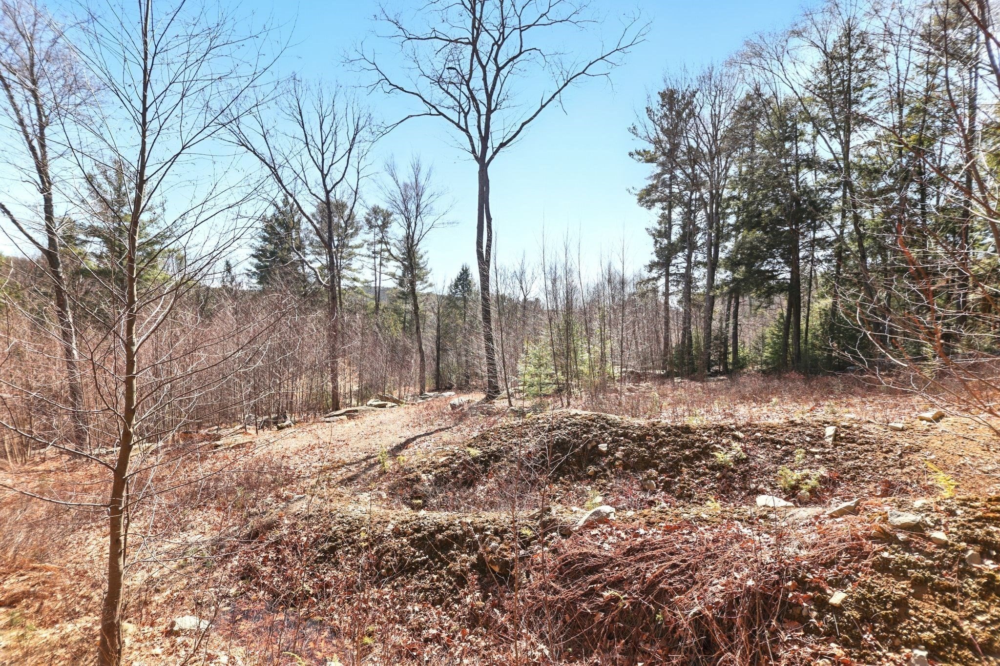 0 North Leverett Road Montague, MA 01351 - Photo 10 of 18 Gallery Image 10