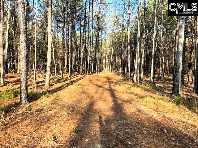 0 Circle H Woods Road Prosperity, SC 29127 - Photo 4 of 21