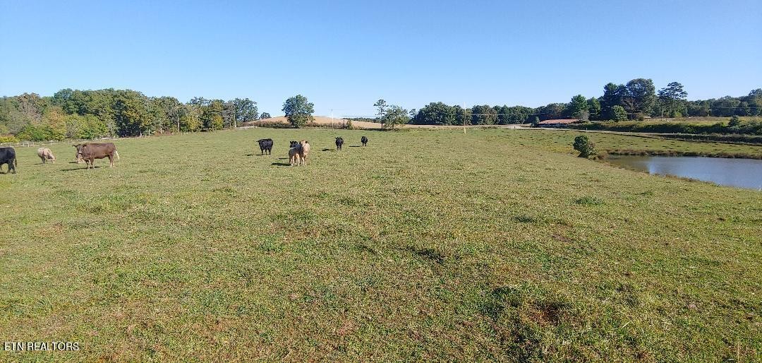 181 Claude Howard Road Deer Lodge, TN 37726 - Photo 1 of 13 Gallery Image 1