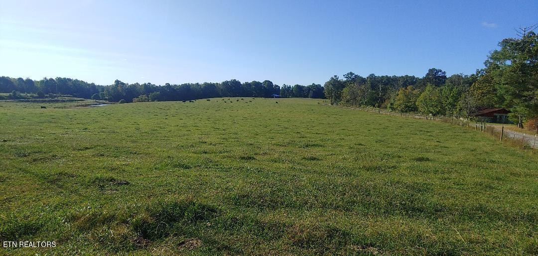 181 Claude Howard Road Deer Lodge, TN 37726 - Photo 11 of 13 Gallery Image 11