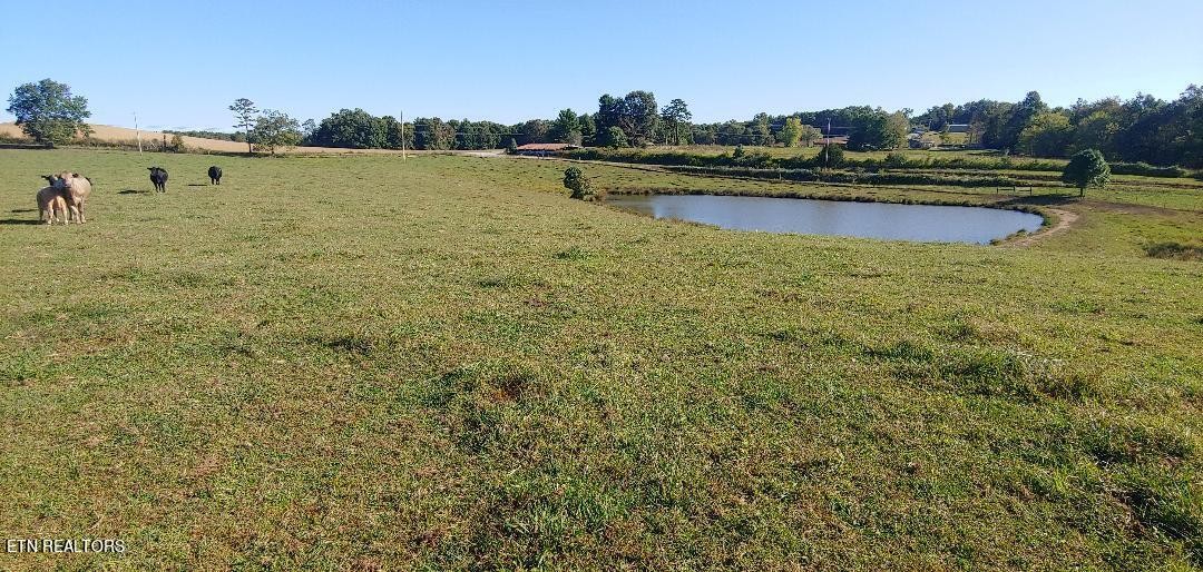 181 Claude Howard Road Deer Lodge, TN 37726 - Photo 13 of 13 Gallery Image 13