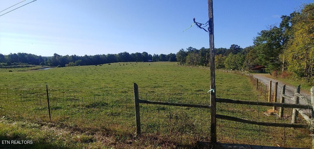 181 Claude Howard Road Deer Lodge, TN 37726 - Photo 3 of 13 Gallery Image 3