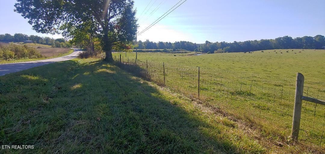 181 Claude Howard Road Deer Lodge, TN 37726 - Photo 10 of 13 Gallery Image 10