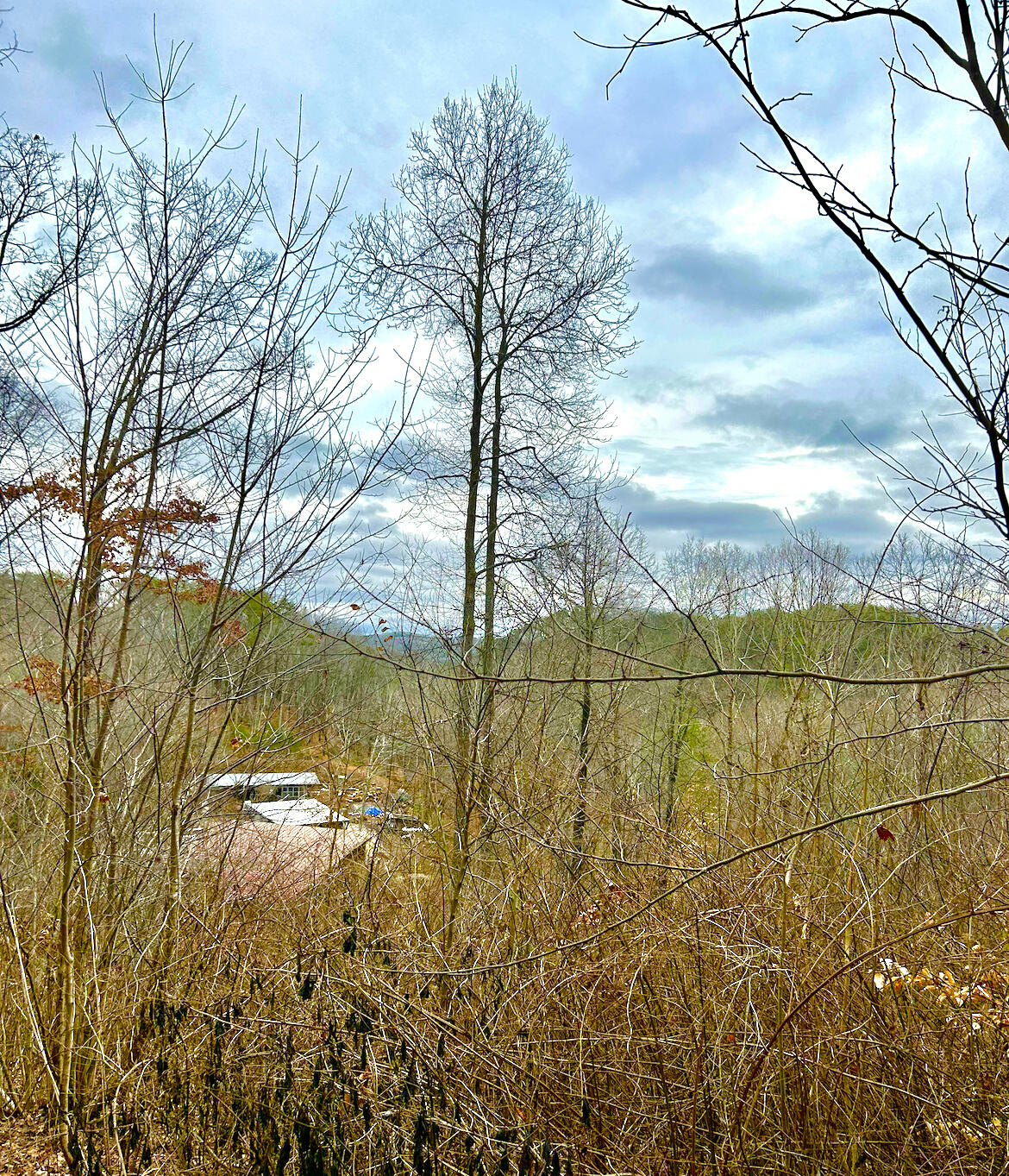 80B74B77-5F1D-4B70-8111-67B4E3E1B3E7