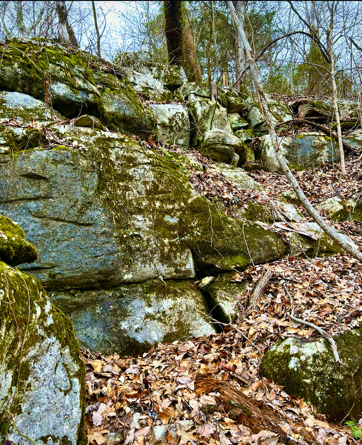 0 North Cedar Lane Flintstone, GA 30725 - Photo 3 of 4 42AAFF79-78F2-4432-9C22-70642BA16575