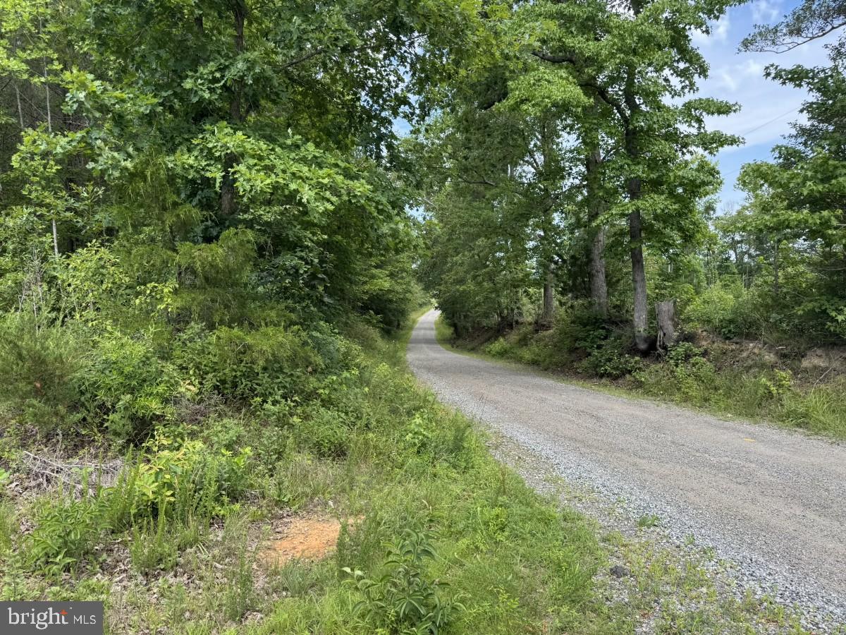 0 Benton Road Lawrenceville, VA 23868 - Photo 24 of 24 a view of a yard with plants and trees