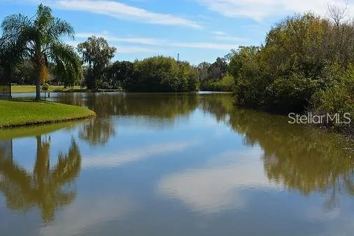 a view of a lake with a yard and a large trees