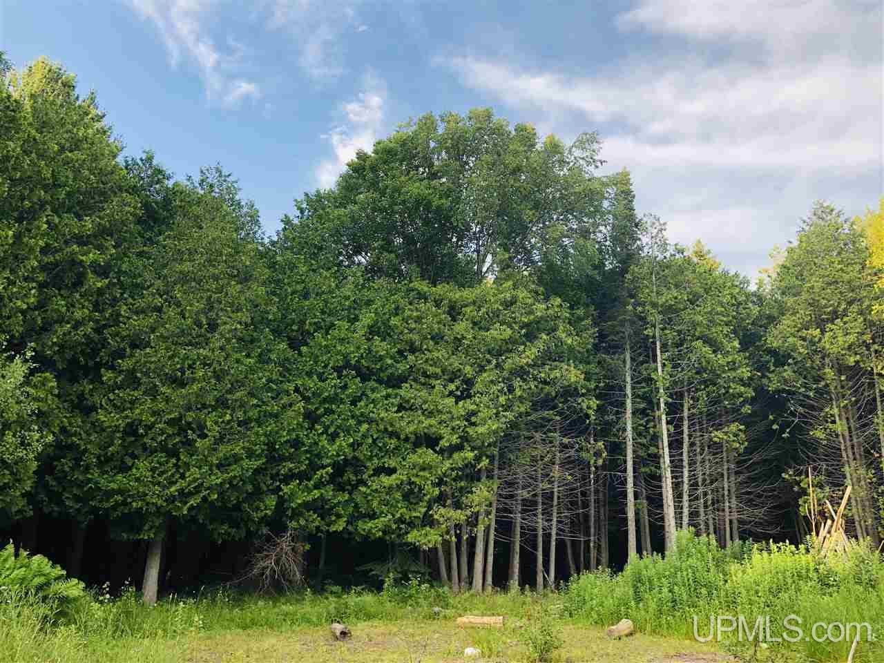 52798 South Cloverland Road Calumet, MI 49913 - Photo 24 of 32