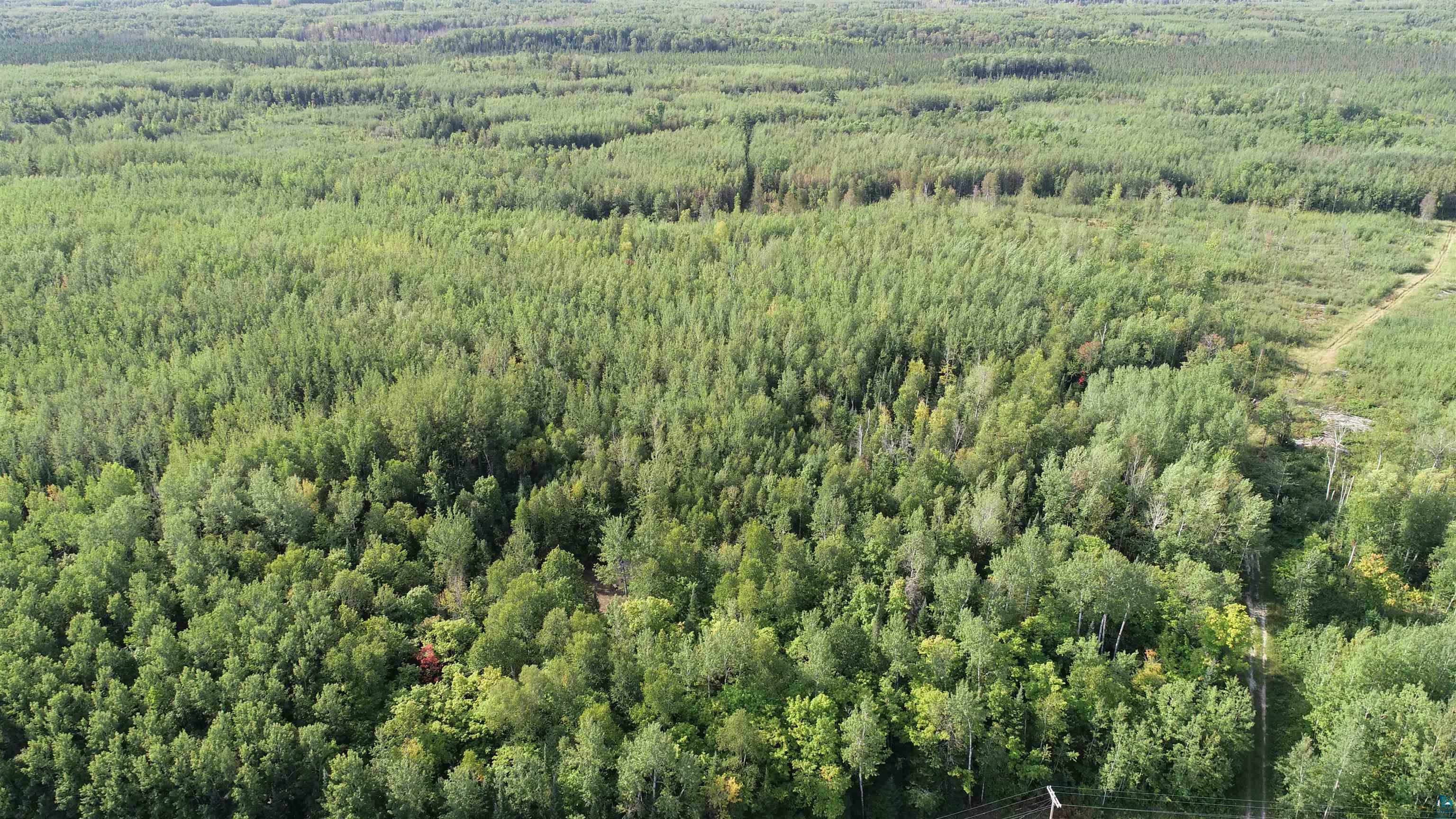 Xx40 Nett Lake Road Orr, MN 55771 - Photo 24 of 27 Gallery Image 24