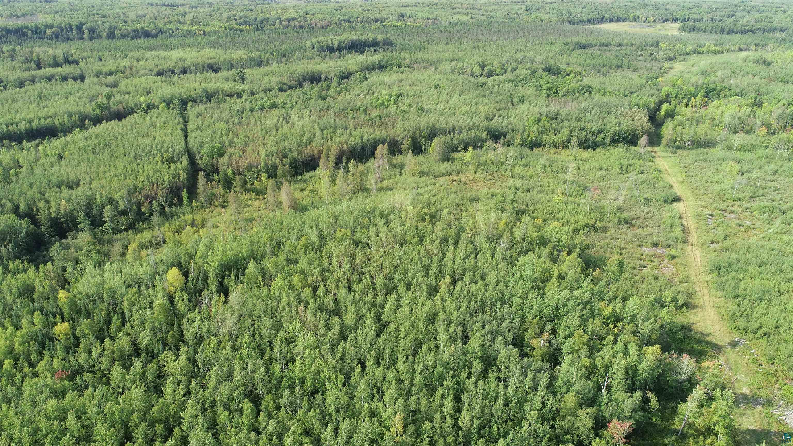 Xx40 Nett Lake Road Orr, MN 55771 - Photo 26 of 27 Gallery Image 26