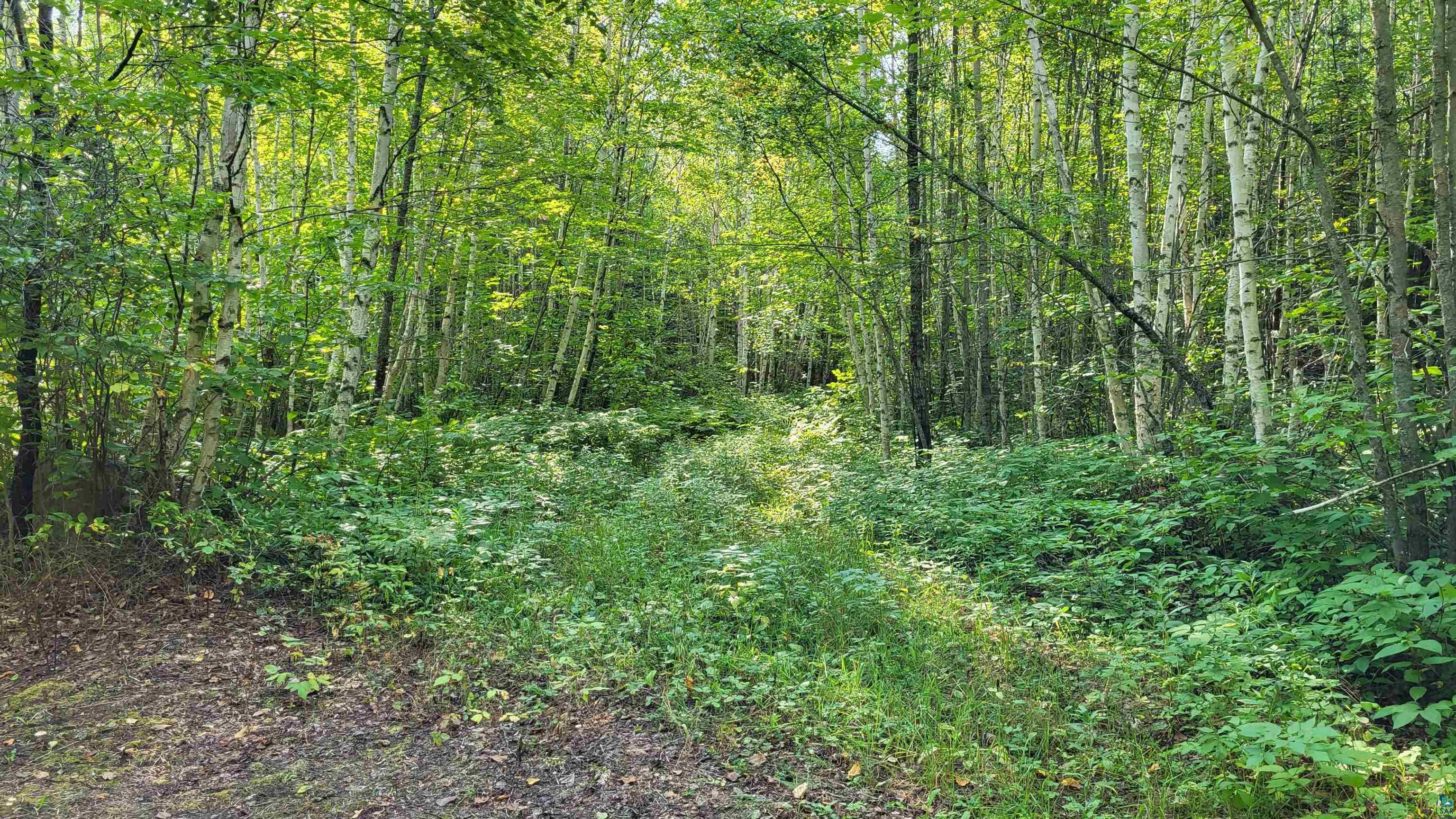 Xx40 Nett Lake Road Orr, MN 55771 - Photo 8 of 27 Gallery Image 8