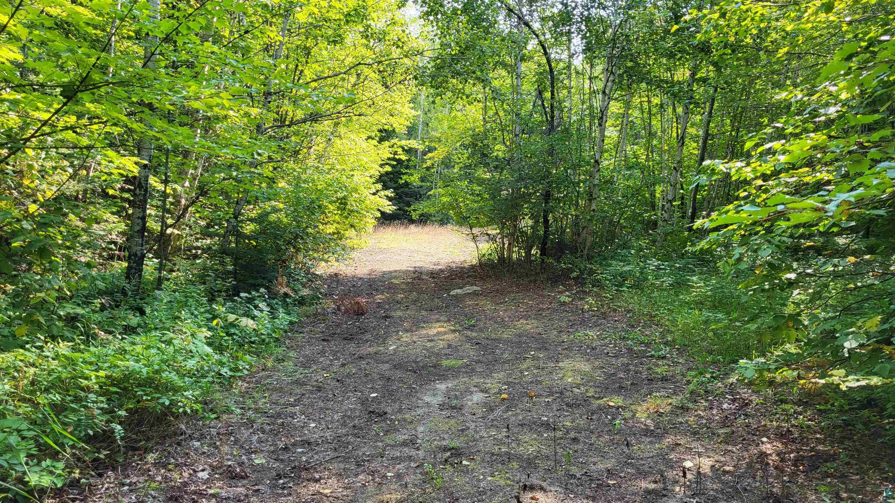 Xx40 Nett Lake Road Orr, MN 55771 - Photo 9 of 27 Gallery Image 9