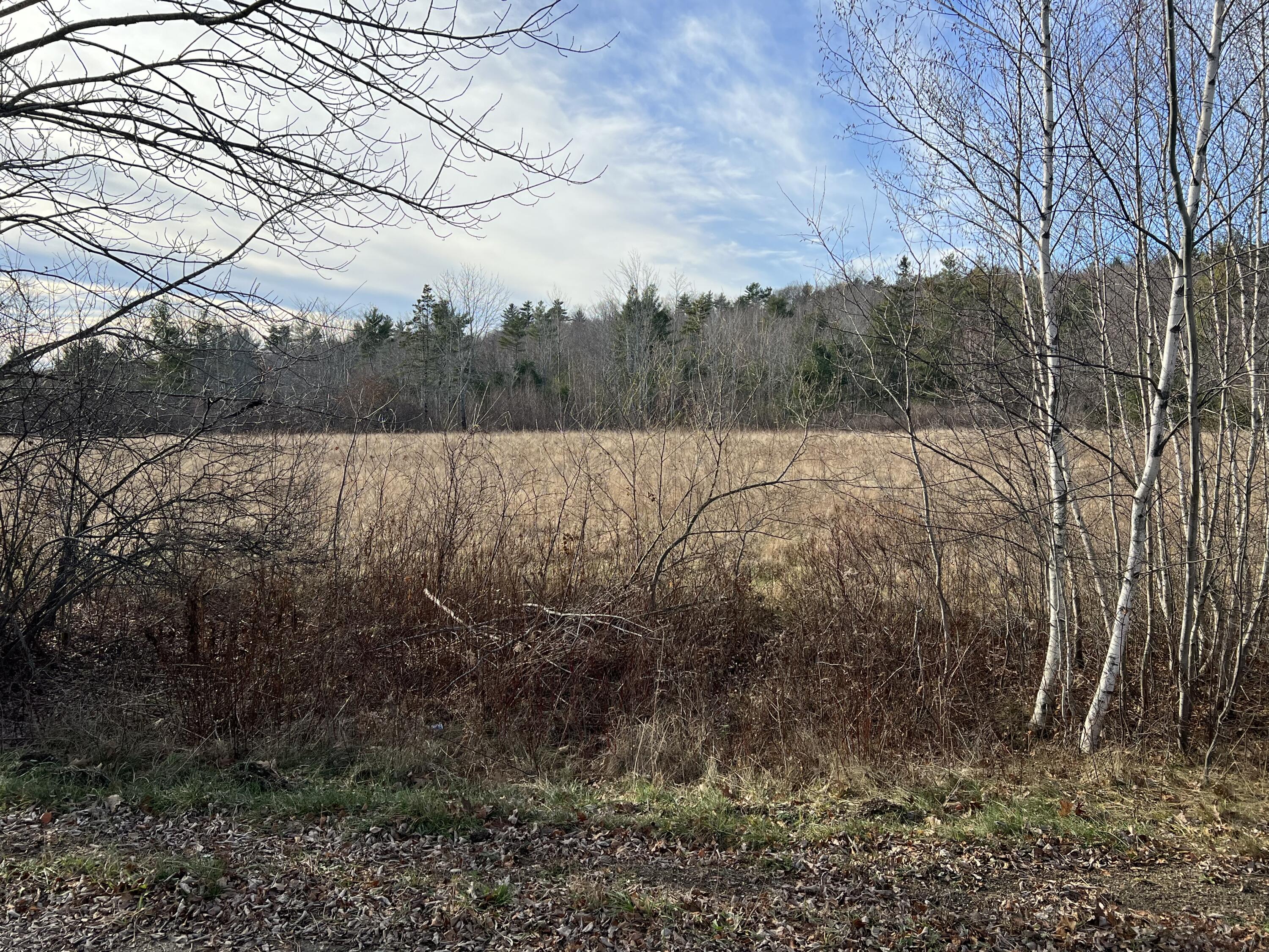 0 Pattee Road Monroe, ME 04951 - Photo 12 of 12 IMG_4244