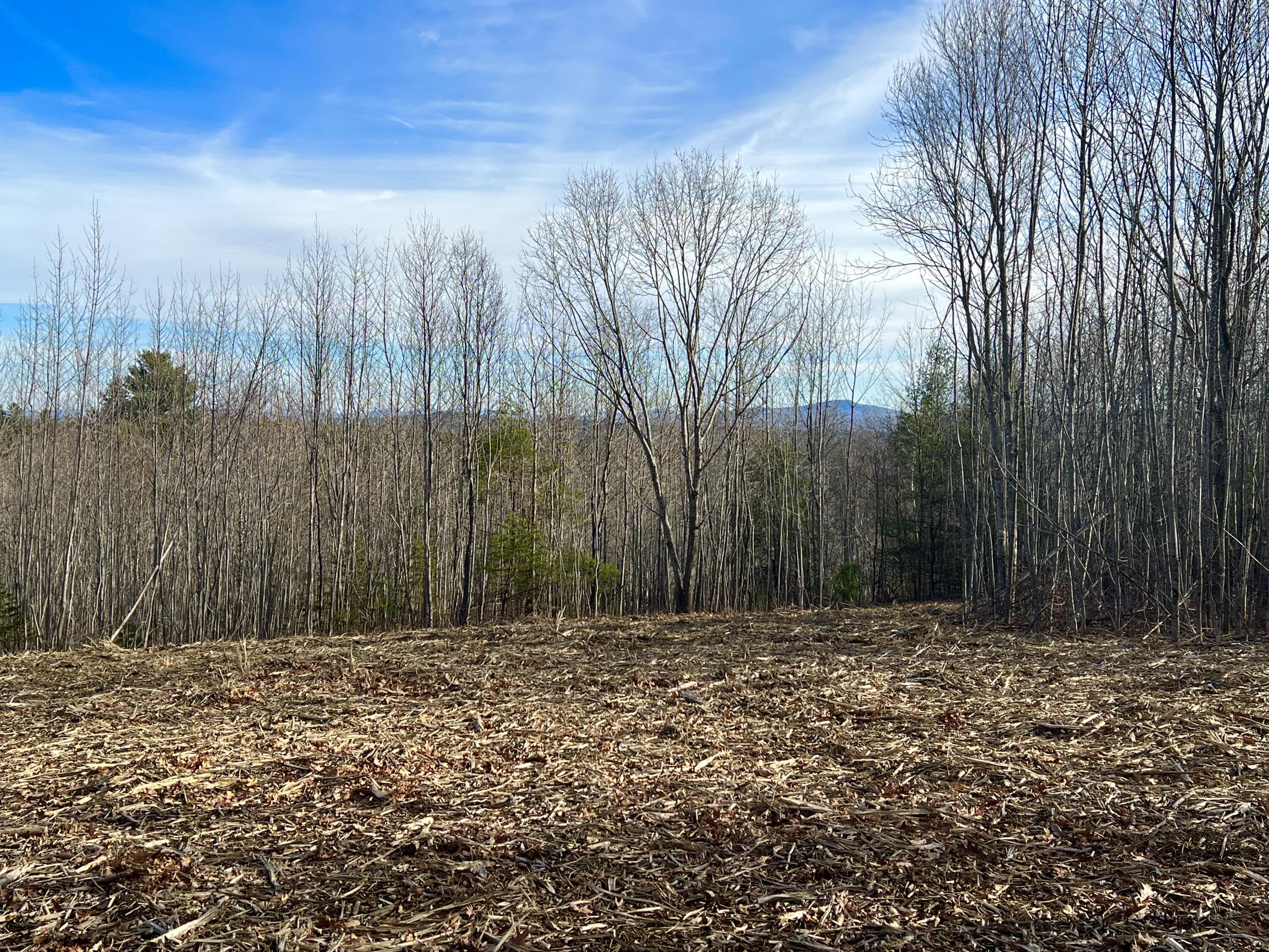 0 Pattee Road Monroe, ME 04951 - Photo 2 of 12 IMG_4232