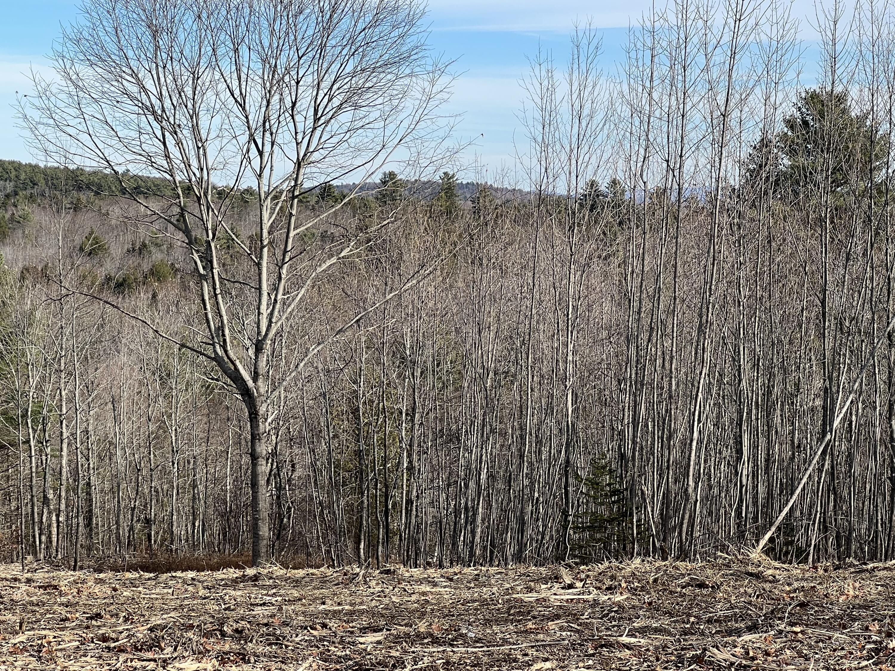 0 Pattee Road Monroe, ME 04951 - Photo 3 of 12 IMG_4233