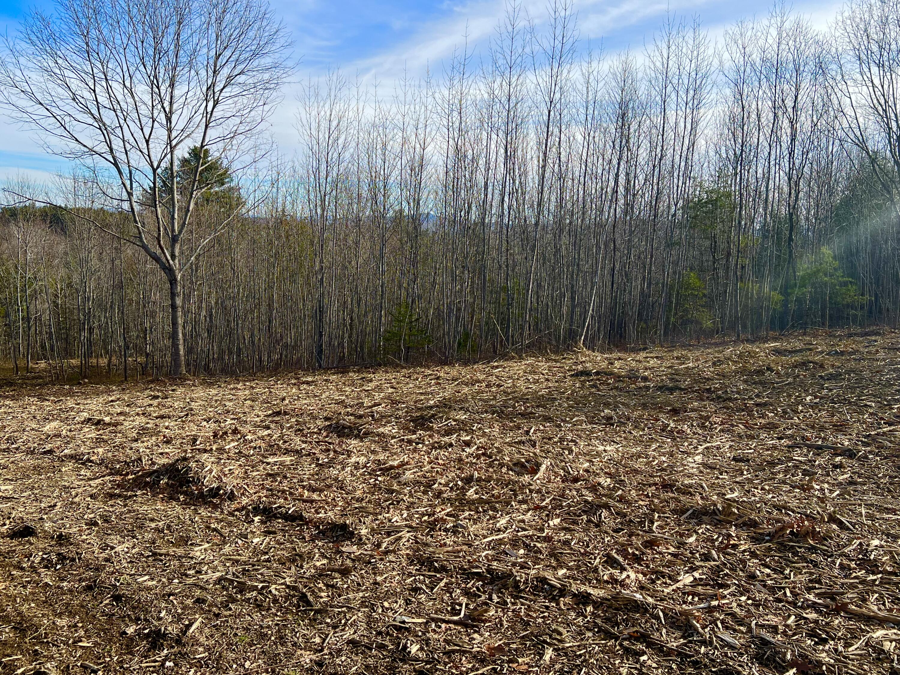 0 Pattee Road Monroe, ME 04951 - Photo 4 of 12 IMG_4236