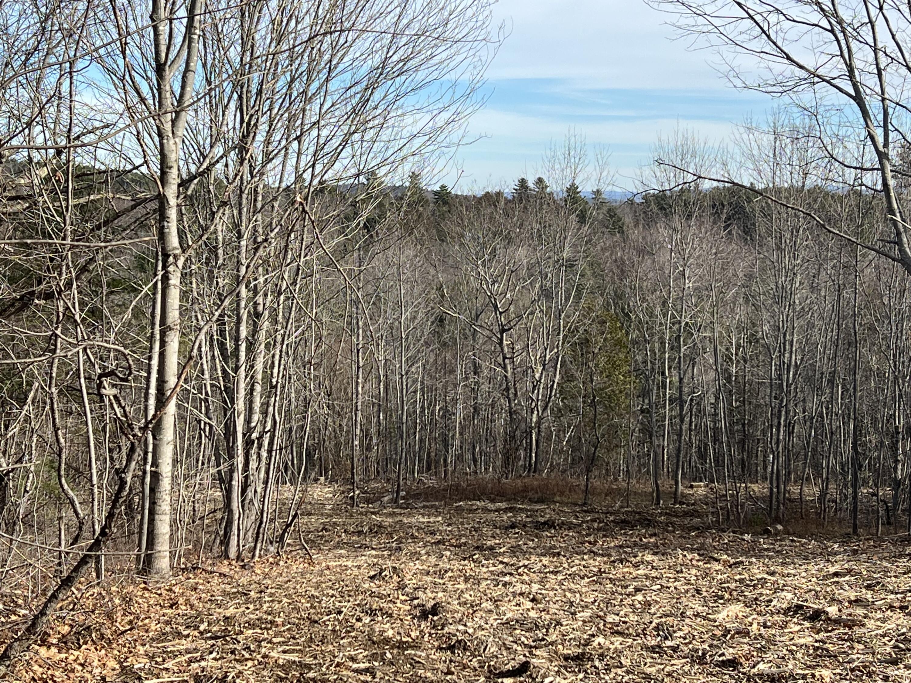 0 Pattee Road Monroe, ME 04951 - Photo 5 of 12 IMG_4237