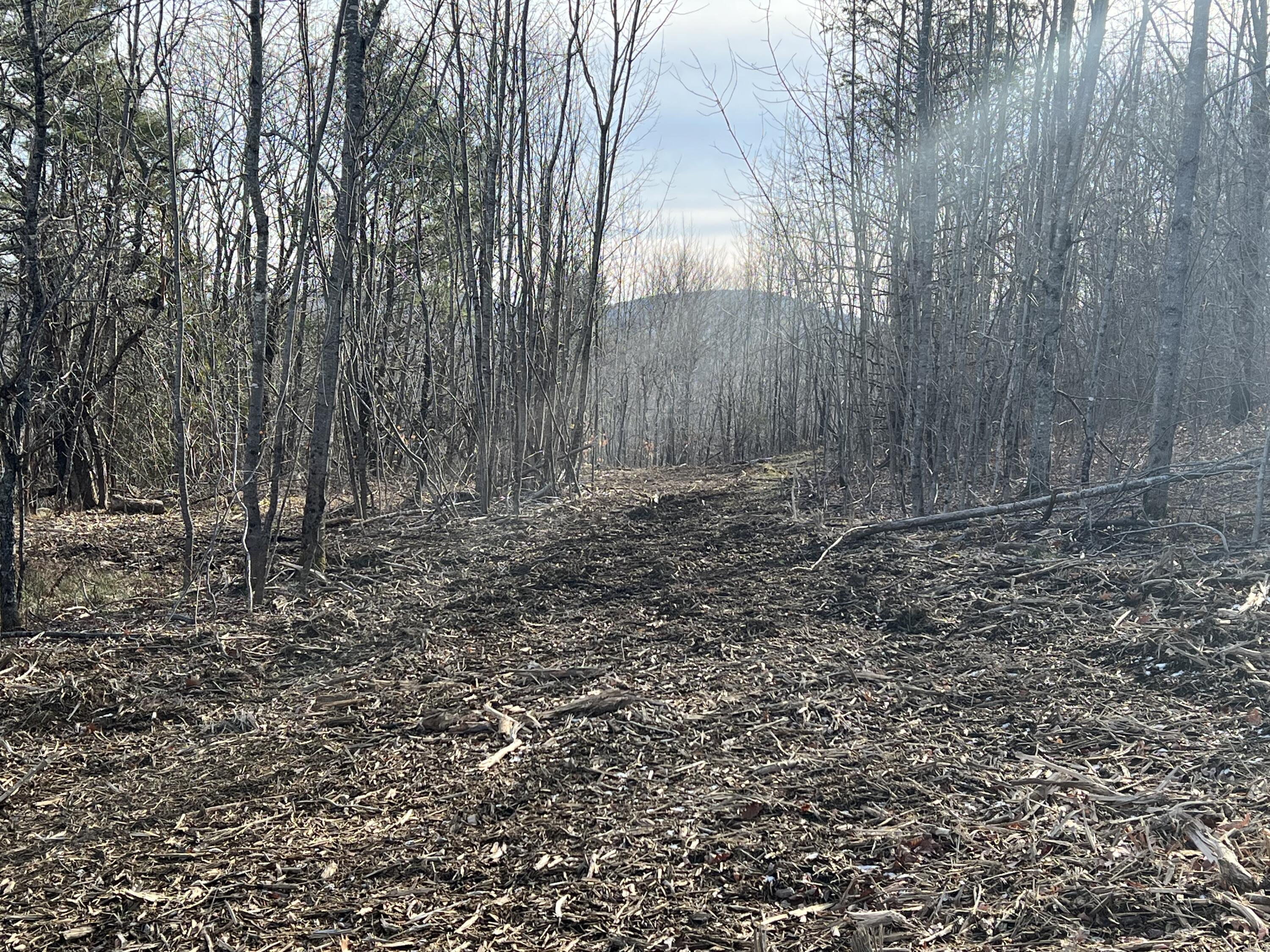 0 Pattee Road Monroe, ME 04951 - Photo 6 of 12 IMG_4238