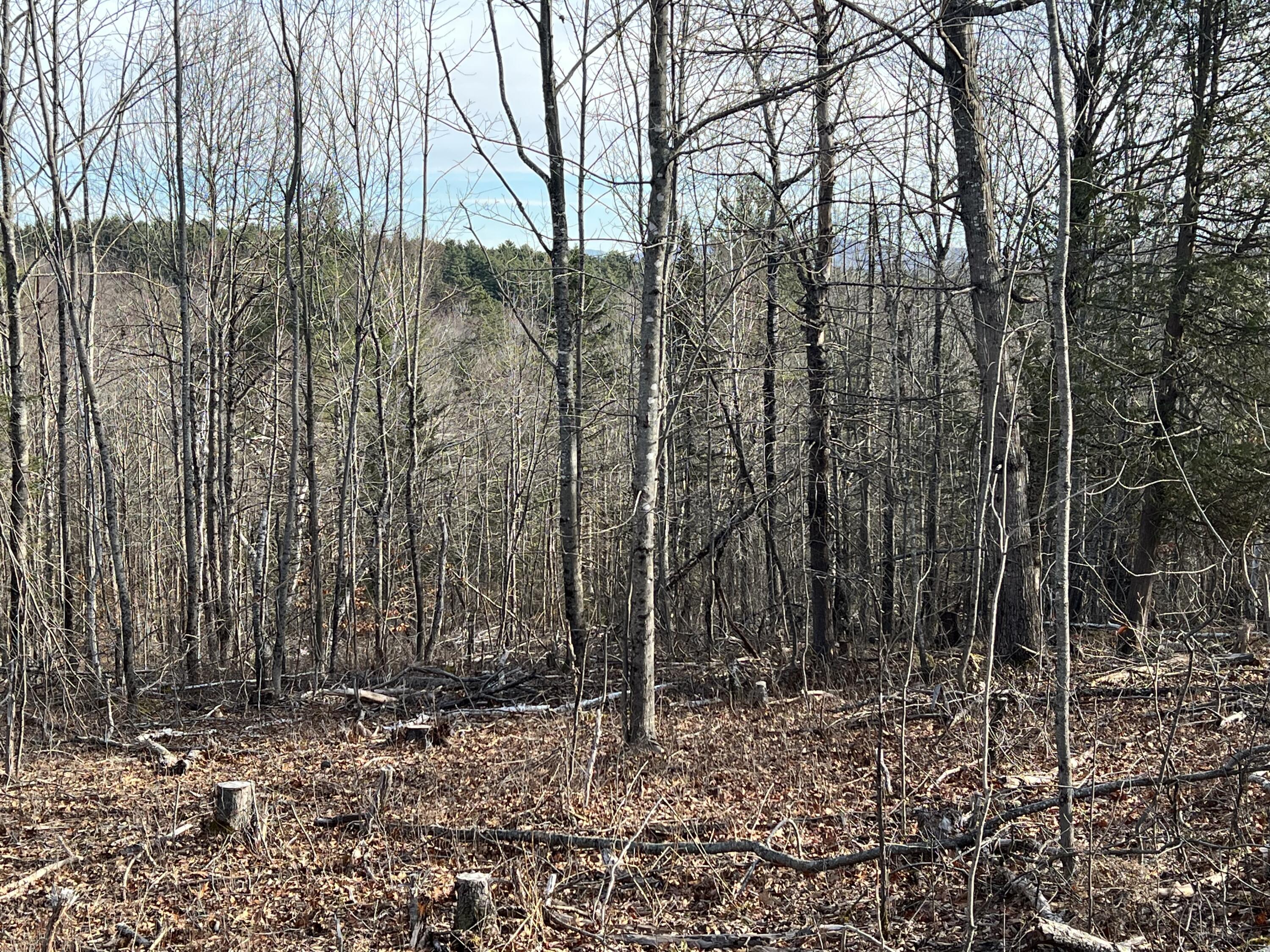 0 Pattee Road Monroe, ME 04951 - Photo 7 of 12 IMG_4239