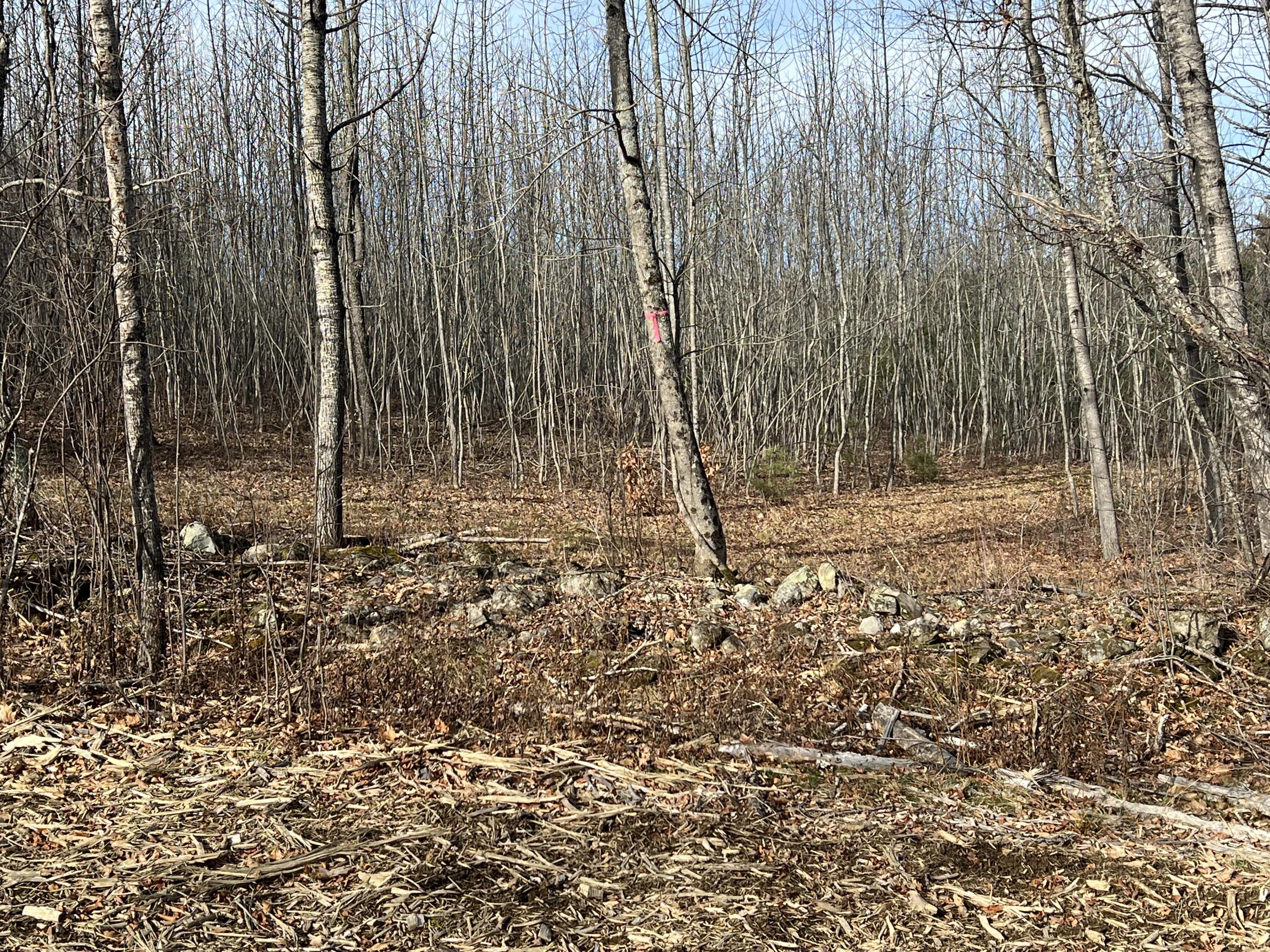 0 Pattee Road Monroe, ME 04951 - Photo 8 of 12 IMG_4240