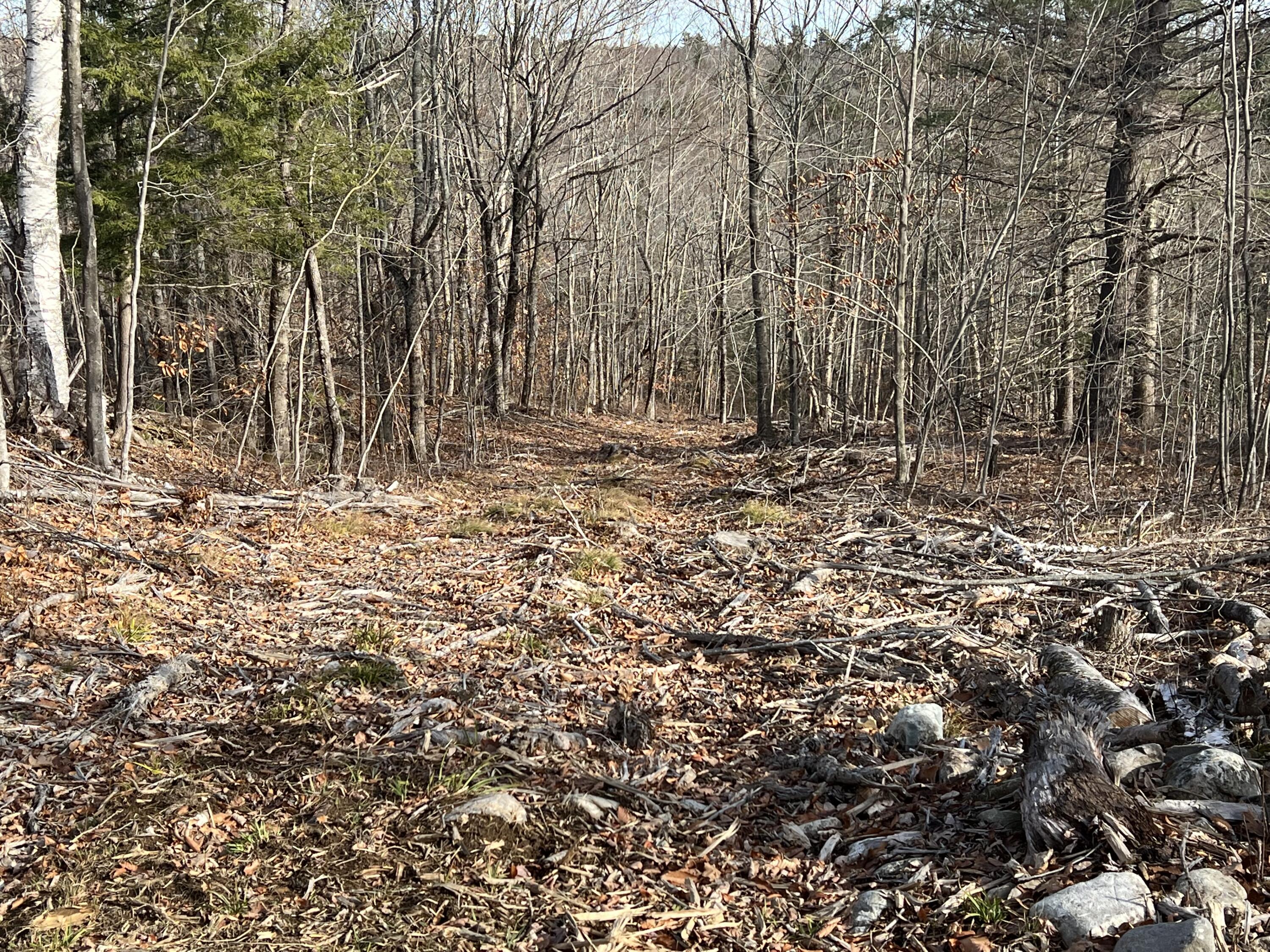 0 Pattee Road Monroe, ME 04951 - Photo 9 of 12 IMG_4241