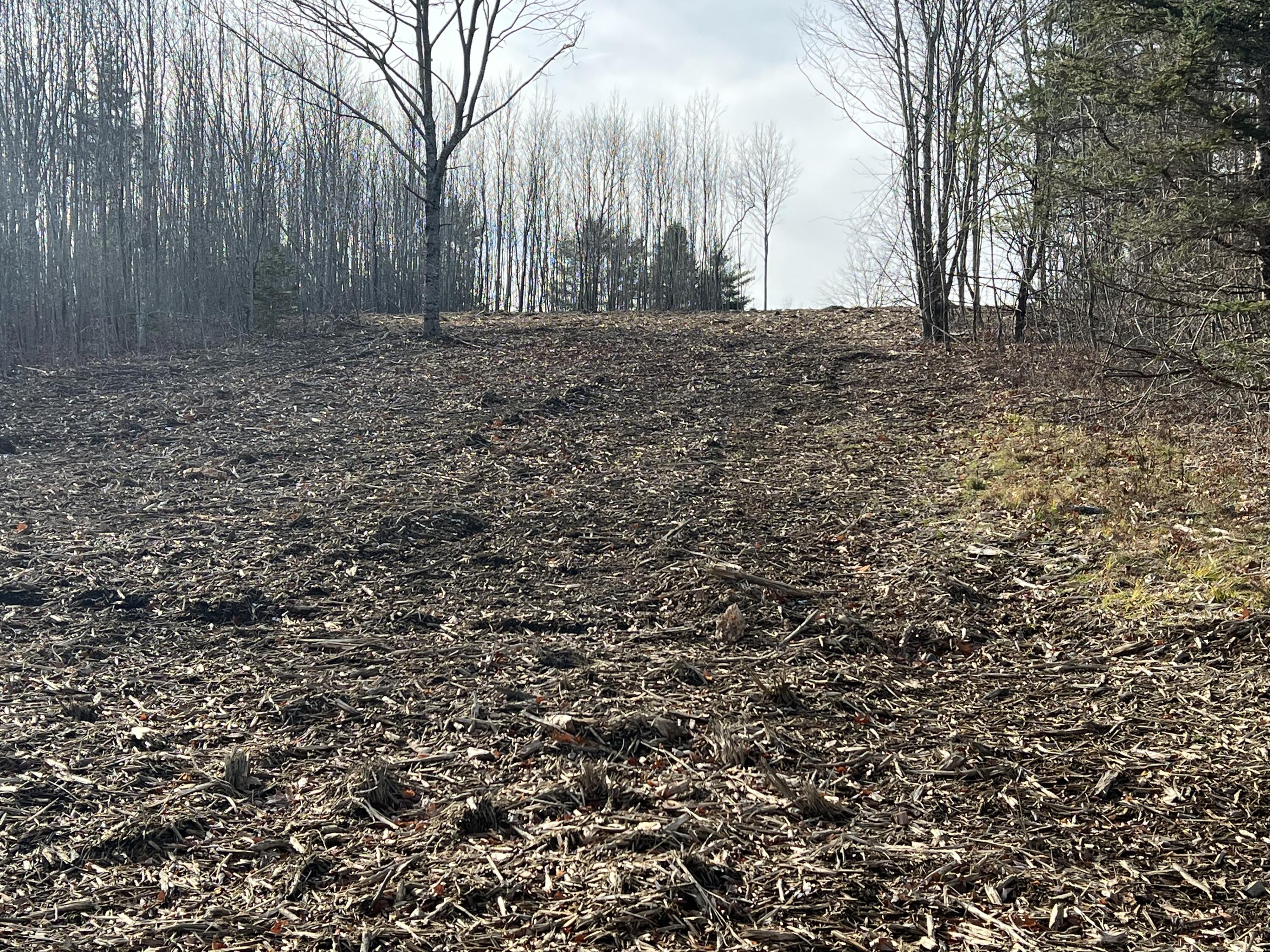 0 Pattee Road Monroe, ME 04951 - Photo 10 of 12 IMG_4242