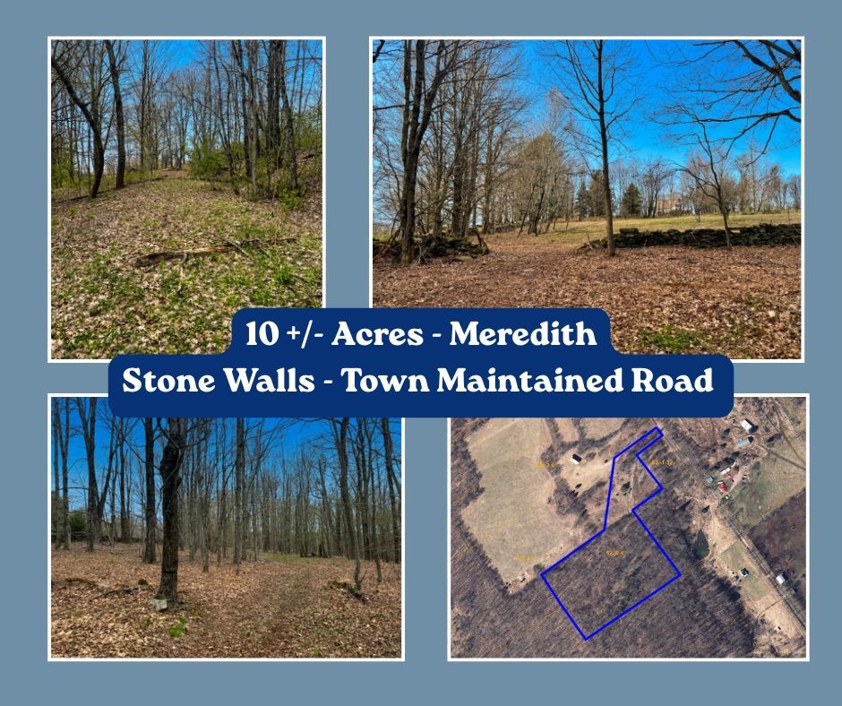 Lot 4 Shaver Hill Road Meridale, NY 13806 - Photo 1 of 44