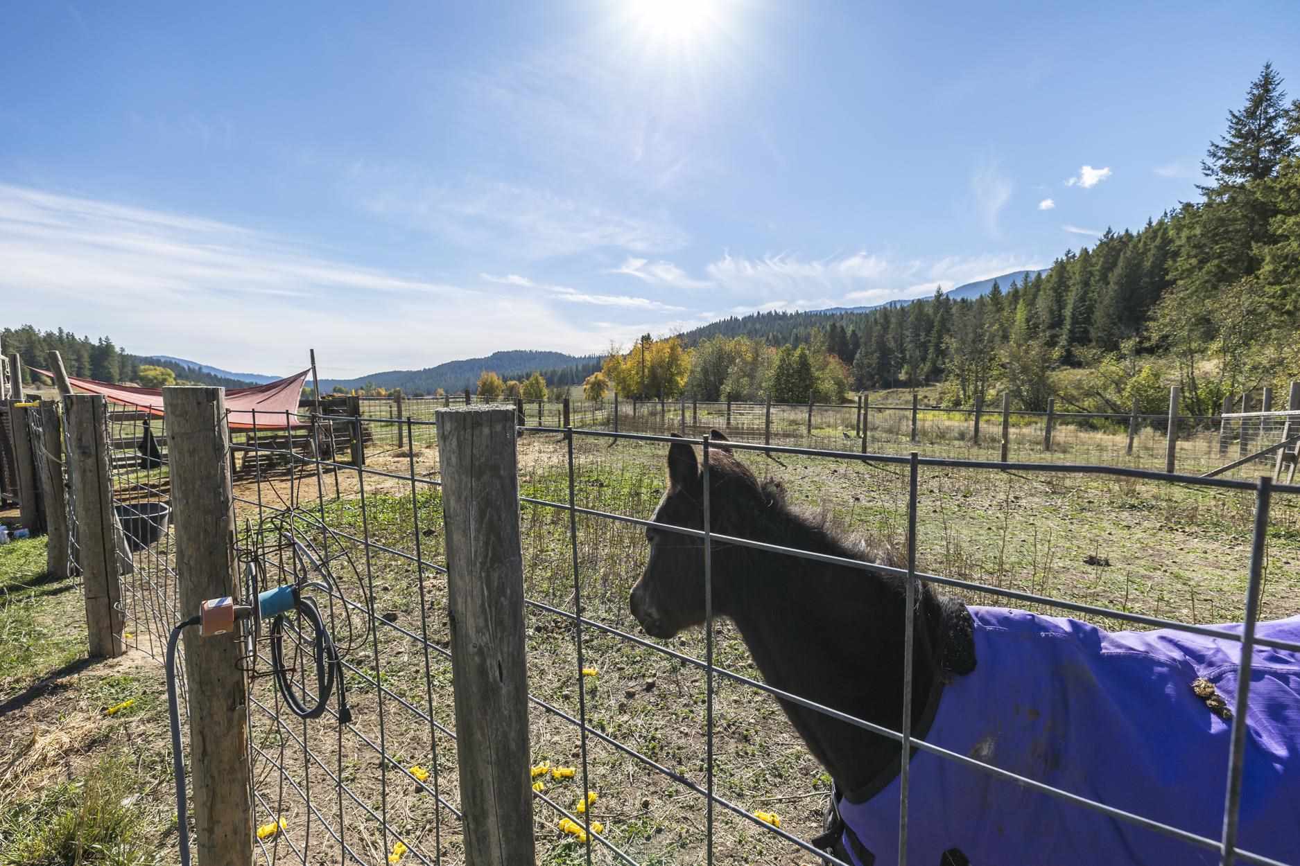 2063 Marble Valley-Basin Road Addy, WA 99101 - Photo 11 of 50
