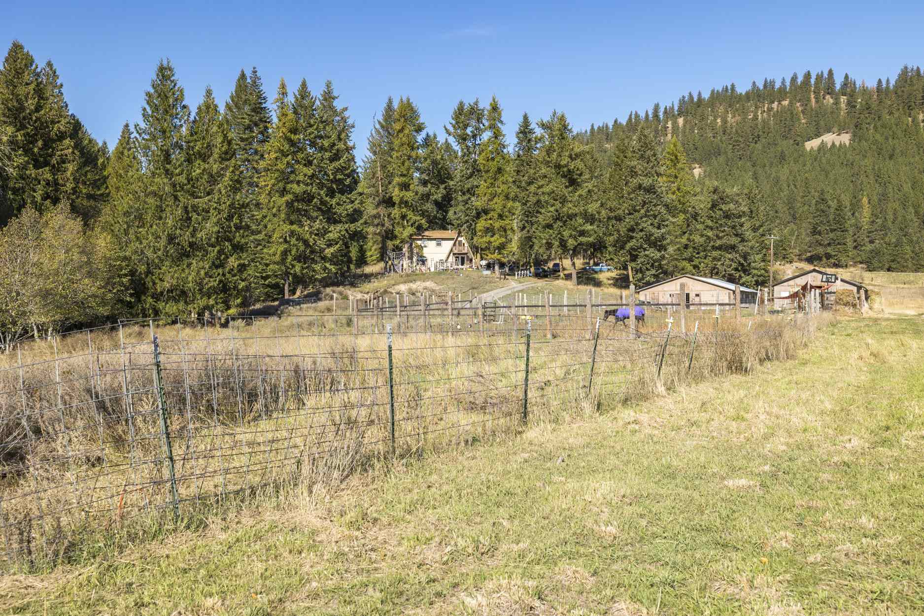 2063 Marble Valley-Basin Road Addy, WA 99101 - Photo 14 of 50