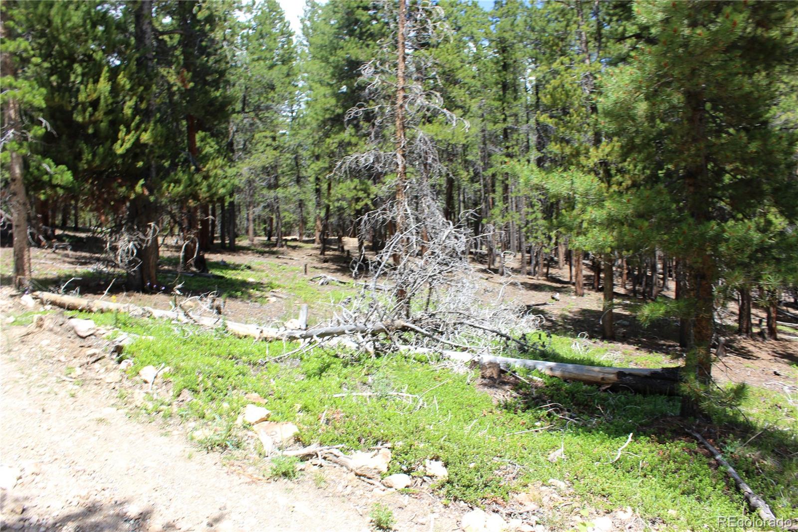 6731 Turkey Gulch Road Idaho Springs, CO 80452 - Photo 1 of 25 Gallery Image 1