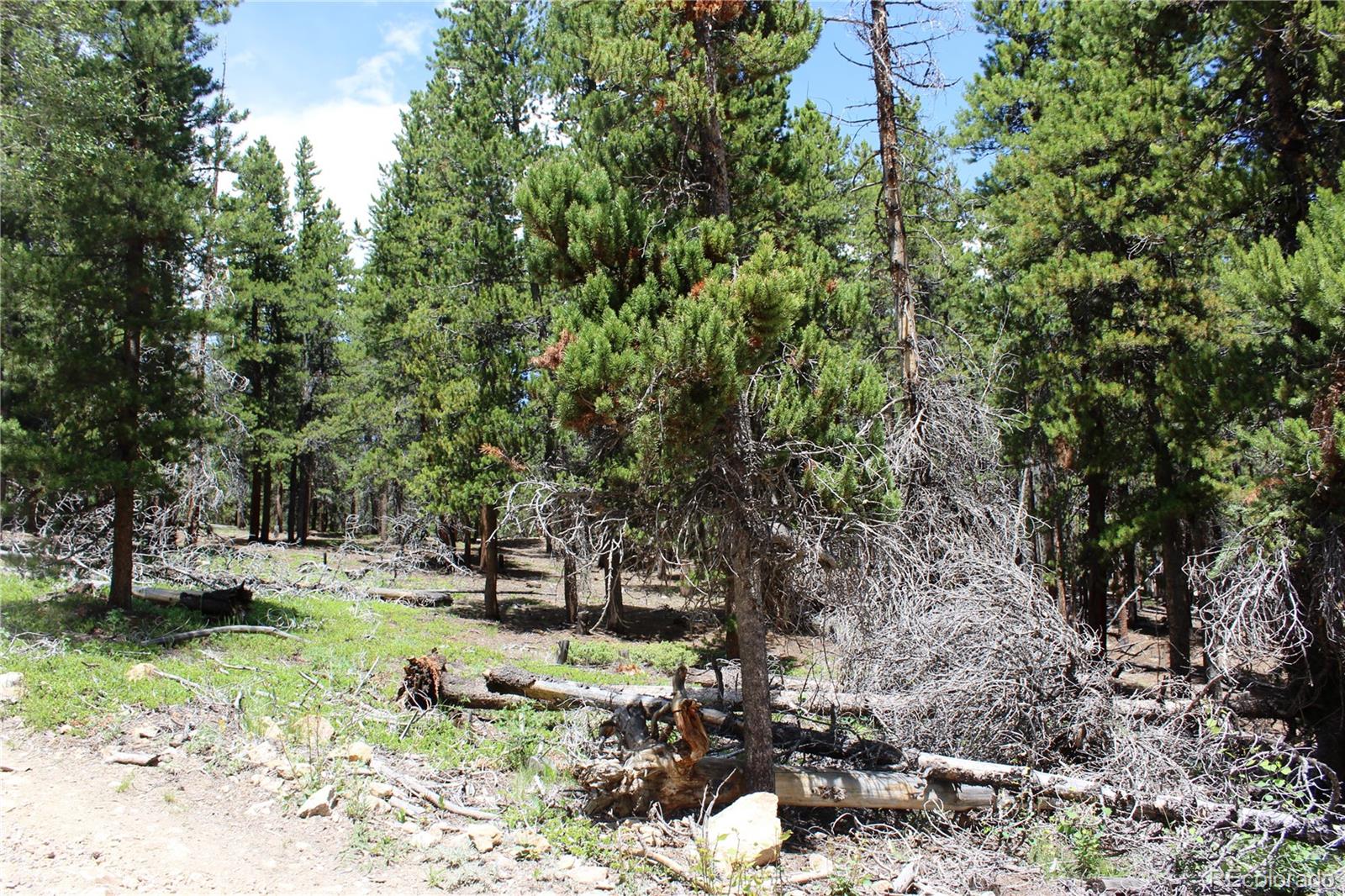 6731 Turkey Gulch Road Idaho Springs, CO 80452 - Photo 11 of 25 Gallery Image 11