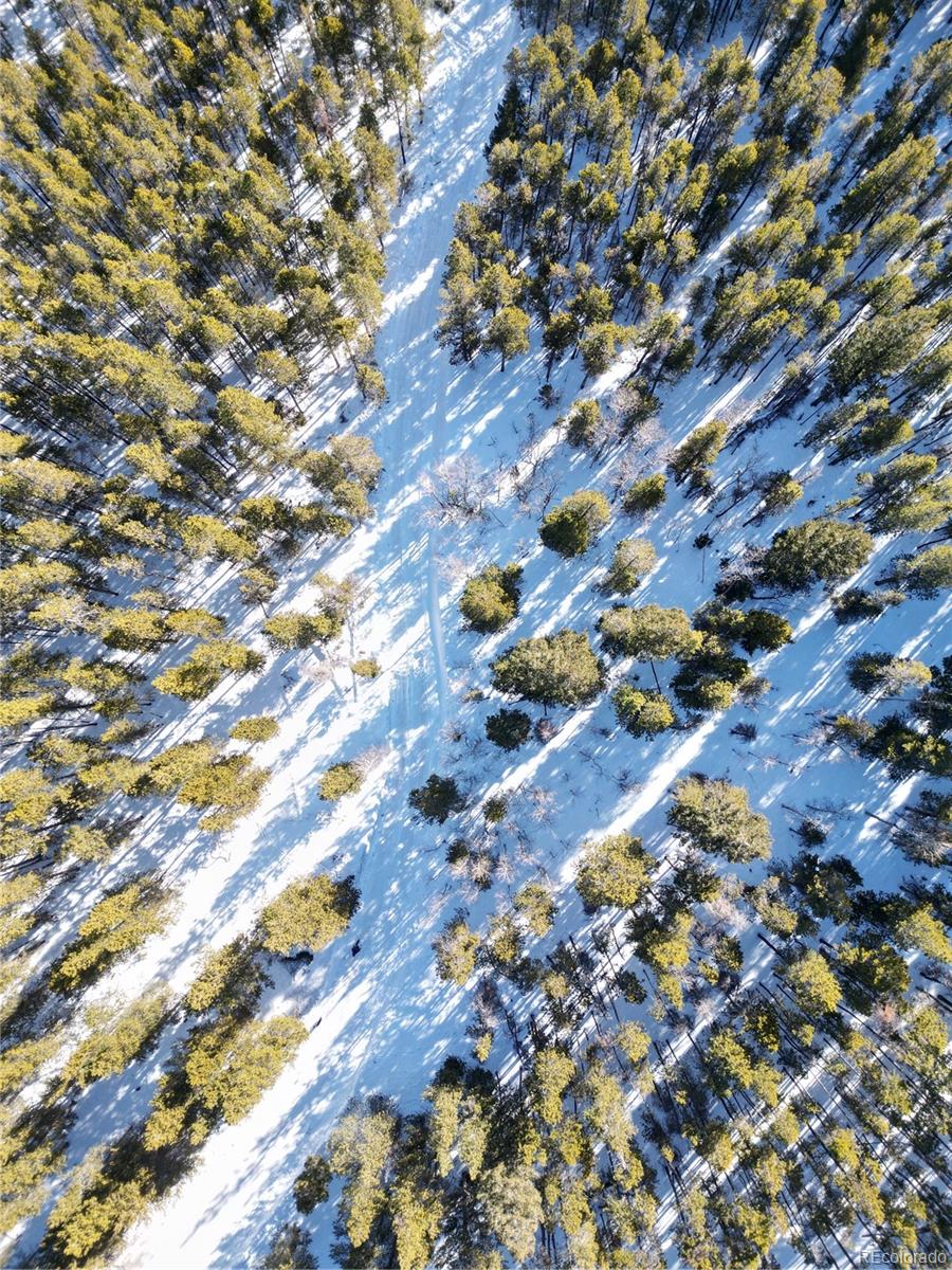 6731 Turkey Gulch Road Idaho Springs, CO 80452 - Photo 12 of 25 Gallery Image 12