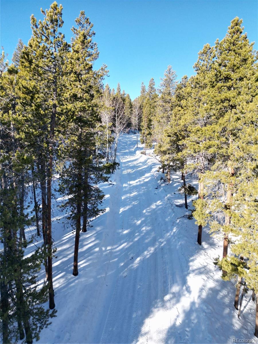 6731 Turkey Gulch Road Idaho Springs, CO 80452 - Photo 13 of 25 Gallery Image 13