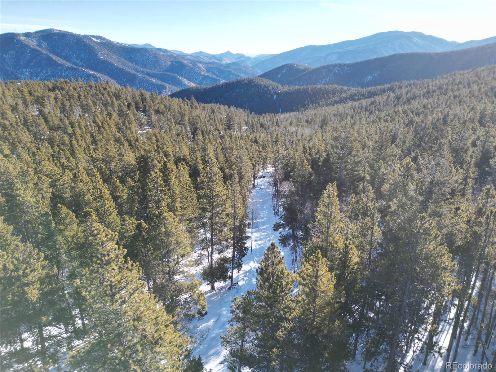 6731 Turkey Gulch Road Idaho Springs, CO 80452 - Photo 14 of 25 Gallery Image 14