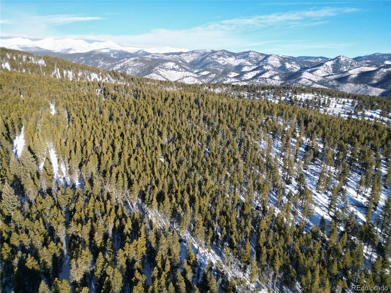 6731 Turkey Gulch Road Idaho Springs, CO 80452 - Photo 15 of 25 Gallery Image 15